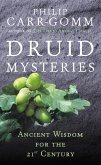 Druid Mysteries (eBook, ePUB)