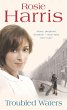 Troubled Waters (eBook, ePUB) - Bild 1