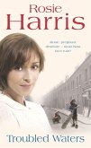 Troubled Waters (eBook, ePUB)