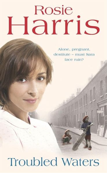 Troubled Waters (eBook, ePUB)