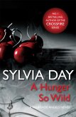 A Hunger So Wild (A Renegade Angels Novel) (eBook, ePUB)