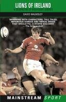 Cover Lions of Ireland (eBook, ePUB)