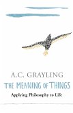The Meaning of Things (eBook, ePUB)