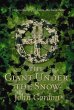 The Giant Under the Snow (eBook, ePUB) - Bild 1