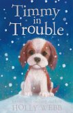 Timmy in Trouble (eBook, ePUB)