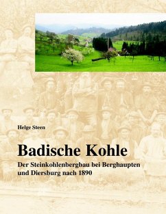 Badische Kohle (eBook, ePUB) - Steen, Helge