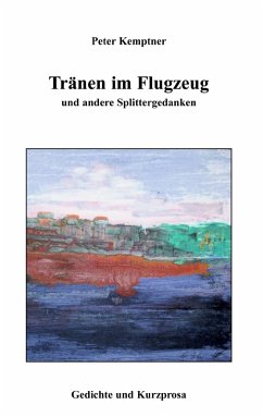 Tränen im Flugzeug und andere Splittergedanken (eBook, ePUB)