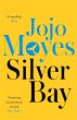 Silver Bay (eBook, ePUB) - Bild 1