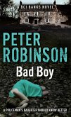 Bad Boy (eBook, ePUB)