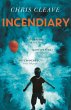 Incendiary (eBook, ePUB) - Bild 1