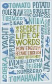 The Secret Life of Words (eBook, ePUB)