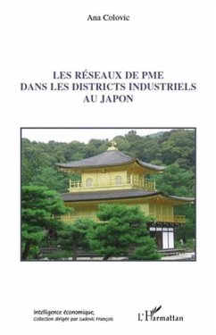 Les reseaux de pme dans les districts industriels au japon (eBook, PDF)