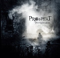 The Colourless Sunrise - Prospekt