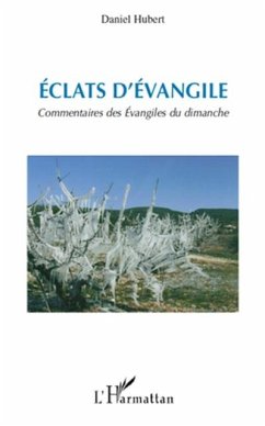 Eclats d'evangile - commentaires des evangiles du dimanche (eBook, PDF) - Christelle Cantereau