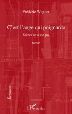 C'est l'ange qui poignarde - scenes de la vie gay - roman (eBook, PDF)