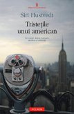 Triste¿ile unui american (eBook, ePUB)