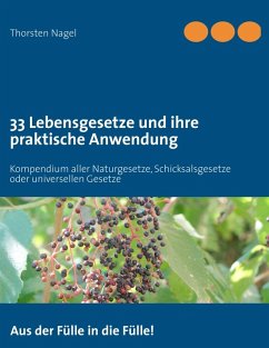 33 Lebensgesetze und ihre praktische Anwendung (eBook, ePUB) - Nagel, Thorsten