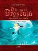 O inima de Broscu¿a. Volumul 3. Valsul stelar al vie¿ii (eBook, ePUB)