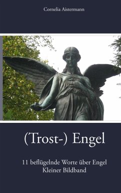 (Trost-) Engel (eBook, ePUB)