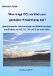 Was trägt CO2 wirklich zur globalen... - Bild 1