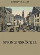 Springinsröckel (eBook, ePUB) - Bild 1