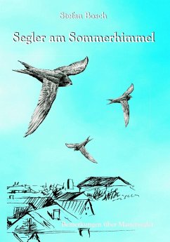 Segler am Sommerhimmel (eBook, ePUB) - Bosch, Stefan