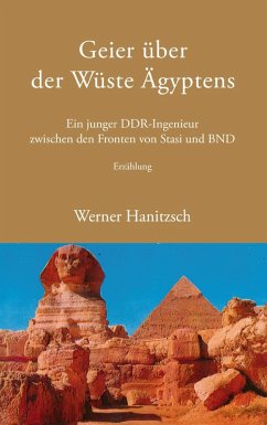 Geier über der Wüste Ägyptens (eBook, ePUB)