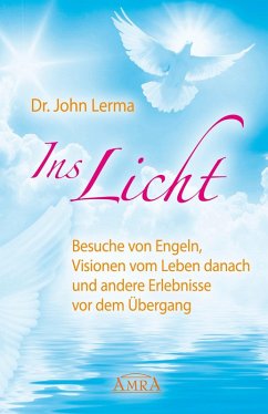 Ins Licht (eBook, ePUB) - Lerma, John