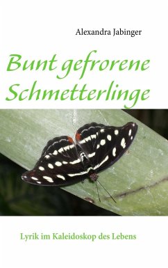 Bunt gefrorene Schmetterlinge (eBook, ePUB) - Jabinger, Alexandra