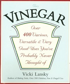 Vinegar (eBook, ePUB) - Lansky, Vicki