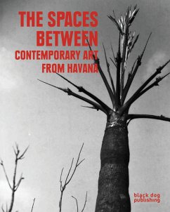 The Spaces Between: Contemporary Art from Havana - Fernández (Tonel), Antonio Eligio; Wallace, Keith; Andersson, Cecilia