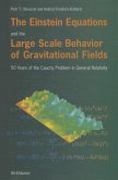 The Einstein Equations and the Large Scale Behavior of Gravitational Fields