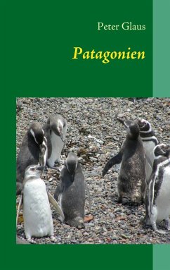 Patagonien (eBook, ePUB)