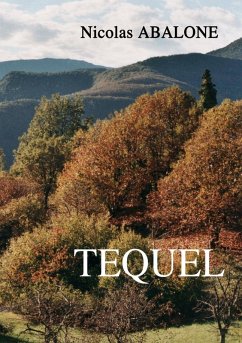 TEQUEL (eBook, ePUB)
