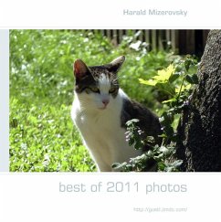 best of 2011 photos (eBook, ePUB) - Mizerovsky, Harald