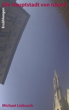 Die Hauptstadt von Island (eBook, ePUB)