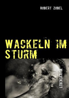 Wackeln im Sturm (eBook, ePUB)