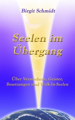 Seelen im Übergang (eBook, ePUB) - Schmidt, Birgit