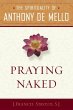 Praying Naked (eBook, ePUB) - Bild 1