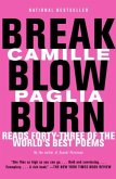 Break, Blow, Burn (eBook, ePUB) Break, Blow, Burn (eBook, ePUB)