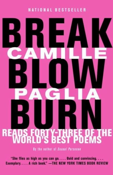 Break, Blow, Burn (eBook, ePUB)
