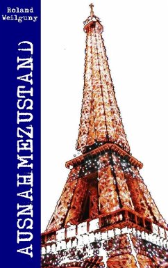 Ausnahmezustand (eBook, ePUB) - Weilguny, Roland