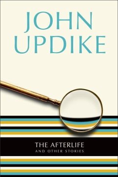 Cover The Afterlife (eBook, ePUB)