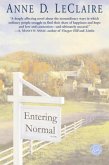 Entering Normal (eBook, ePUB)