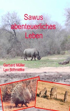 Sawus abenteuerliches Leben (eBook, ePUB)
