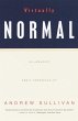 Virtually Normal (eBook, ePUB) - Bild 1