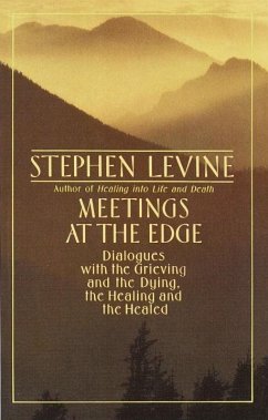 Meetings at the Edge (eBook, ePUB) - Levine, Stephen