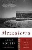 Mezzaterra (eBook, ePUB)