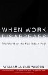 When Work Disappears (eBook, ePUB) - Bild 1