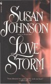 Love Storm (eBook, ePUB)